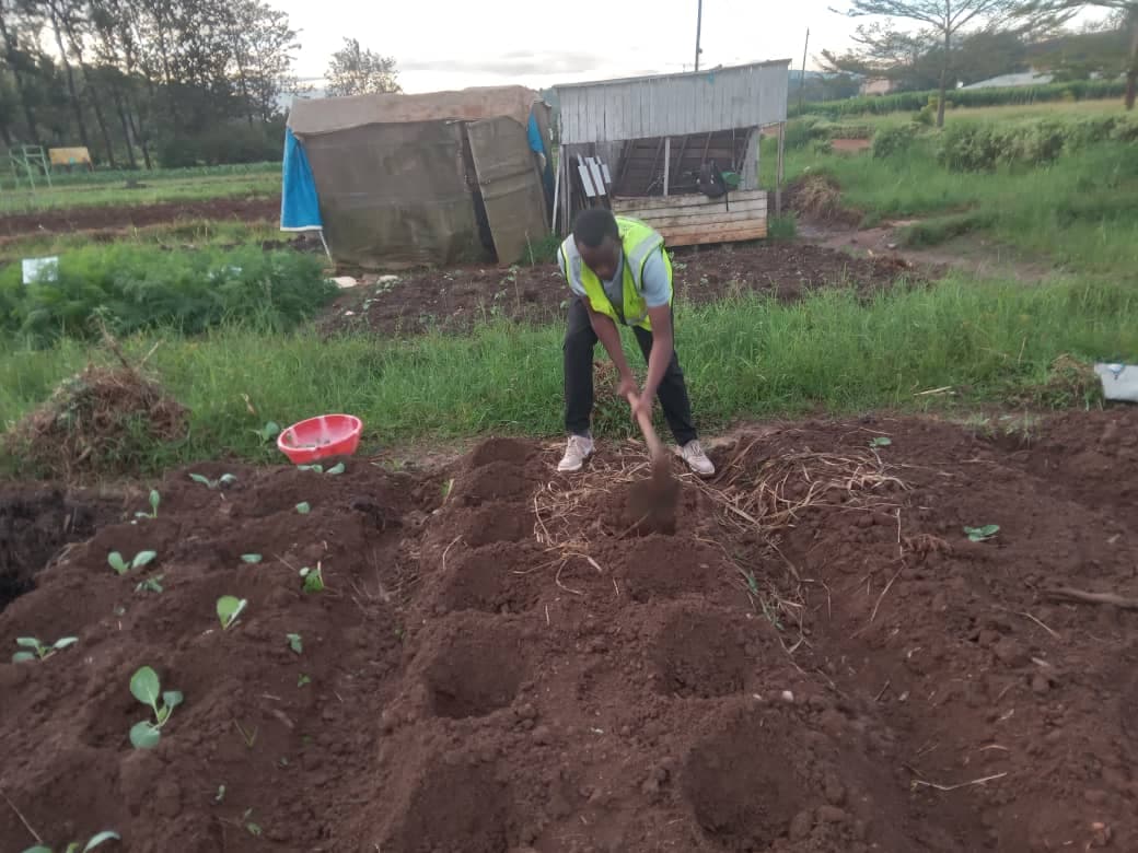 Assistant to Senior Agronomist